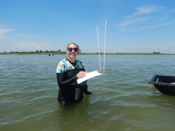 Alyson is studying how human stressors, such as rising temperatures and nutrient pollution, affect seagrass ecosystem processes in the Chesapeake Bay.