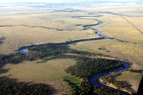 Image of The Mara River running across the Serengeti and cutting through a major wildlife migration corridor.