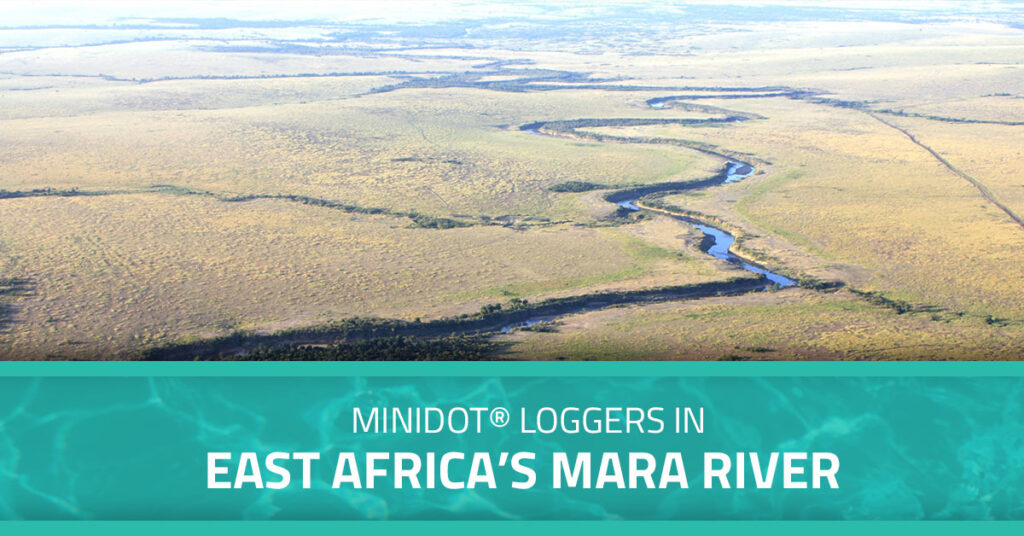 Mara River in East Africa Text overlay says, "miniDOT® Loggers in East Africa’s Mara River."