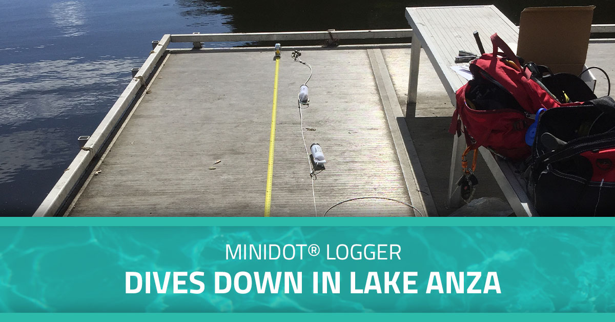 Graphic image showing the bay of San Francisco and dock with miniDOT loggers. Words on the graphic read, "miniDOT® Logger Dives Down in Lake Anza."