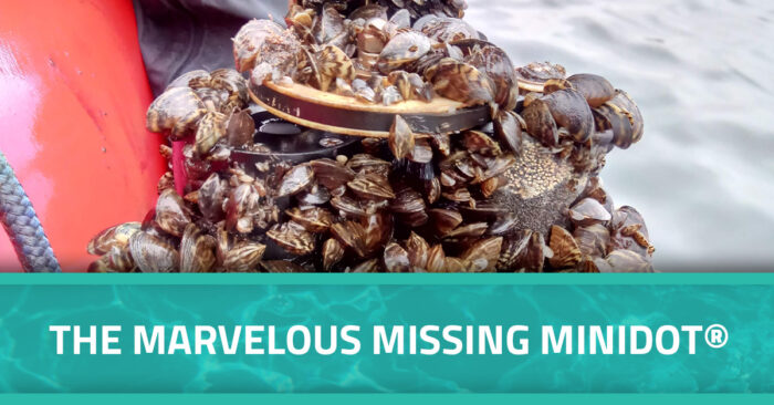 Zebra mussels attached to miniDOT Logger. Text overlay says, "The Marvelous Missing miniDOT®."
