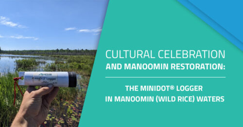 cultural celebration and manoomin restoration graphic showing minidot logger being held inf ront of body of water