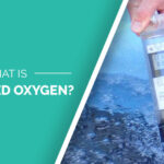 A graphic showing the miniDOT Clear logger with text that reads, "What is Dissolved Oxygen?"