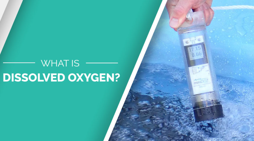 A graphic showing the miniDOT Clear logger with text that reads, "What is Dissolved Oxygen?"