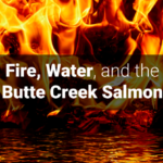 A destructive and deadly campfire mix of toxic ash, metals, and chemicals with text stating “Fire, Water and the Butte Creek Salmon.”