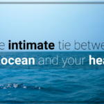 A body of open ocean with opaque overlay of text stating, “The intimated tie between the ocean and your health.”