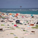 A beach affected by marine microplastic pollution.