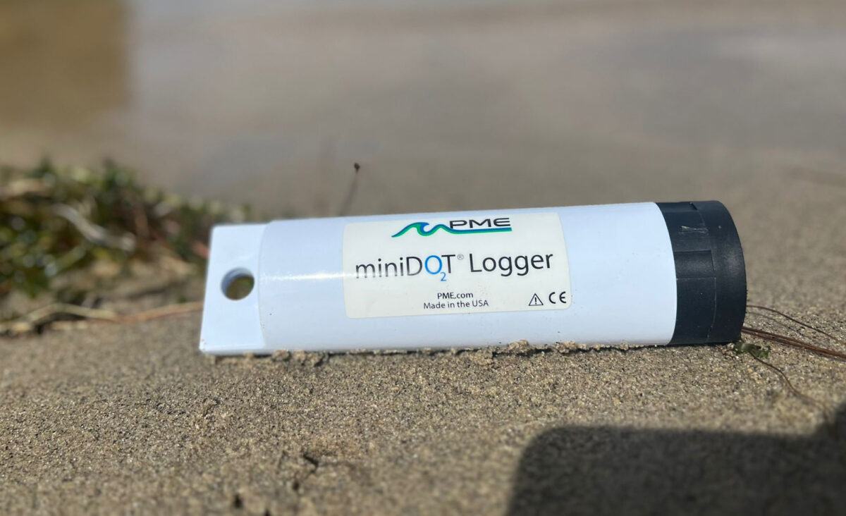 PME miniDOT Logger data monitoring pictured resting on sand