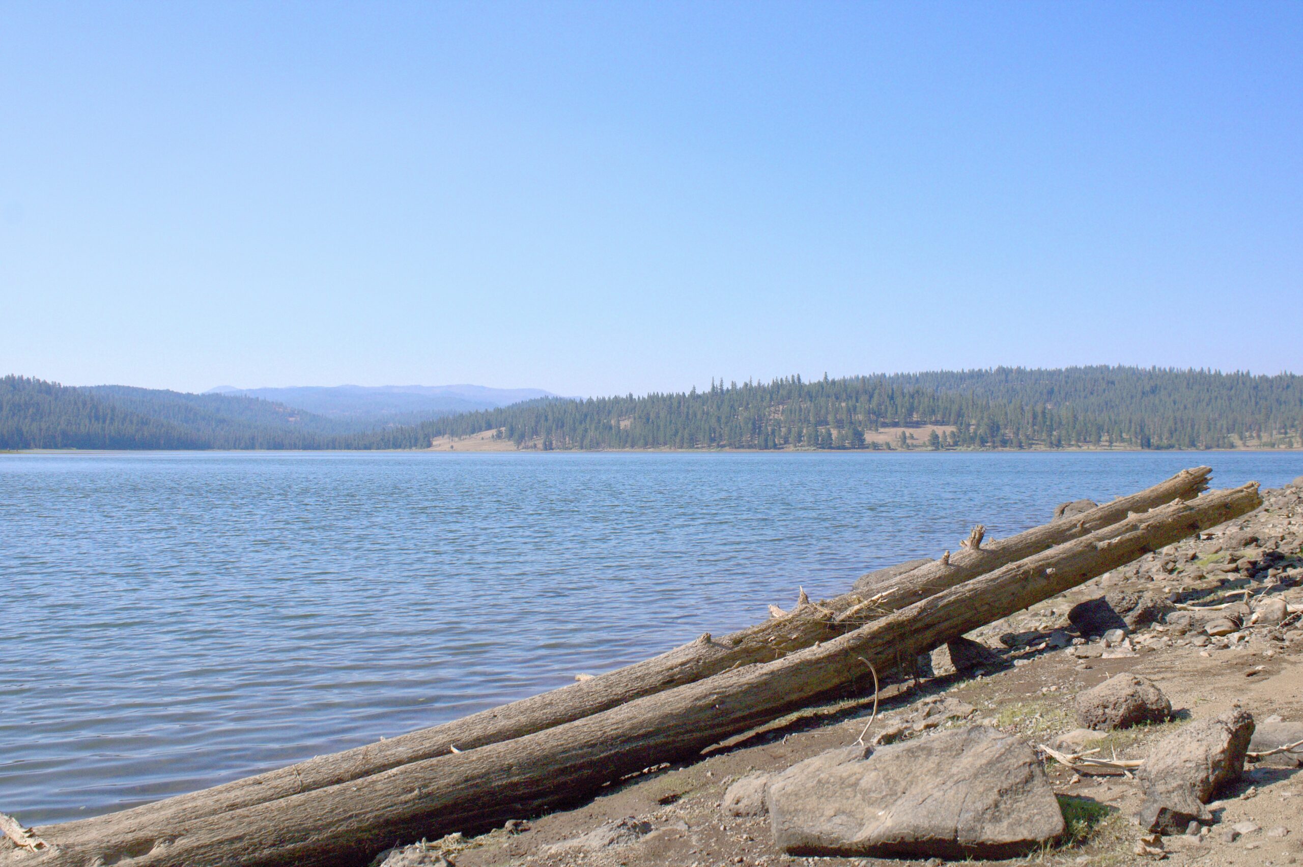 Graphic of a lake in Idaho