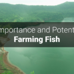 Multi-use body of water located in the Philippines, Batangas province and Luzon Island, monitored by the aquaculture economy.