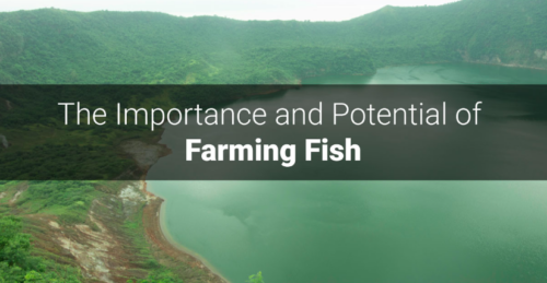 Multi-use body of water located in the Philippines, Batangas province and Luzon Island, monitored by the aquaculture economy.