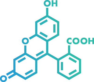 fluoroscein icon
