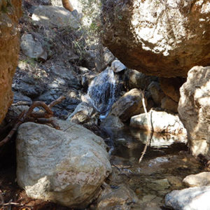 An ecosystem of rocks, uprooted trees, and sediment surrounding a running stream with a miniDOT Logger.