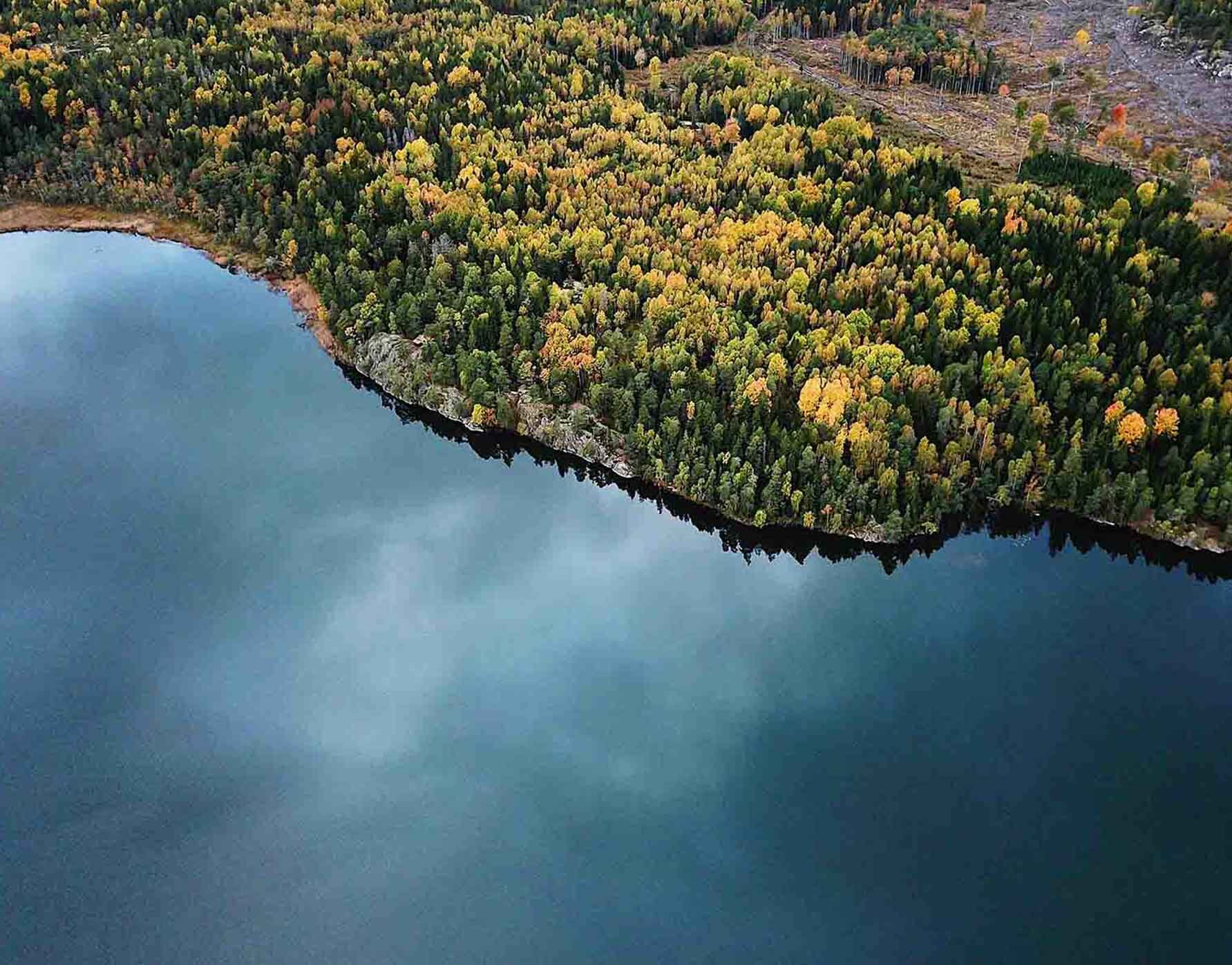 Aerial view of body of water and trees
