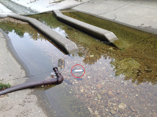 Image captured of miniDOT placed in an urban stream located in Baltimore, Maryland.