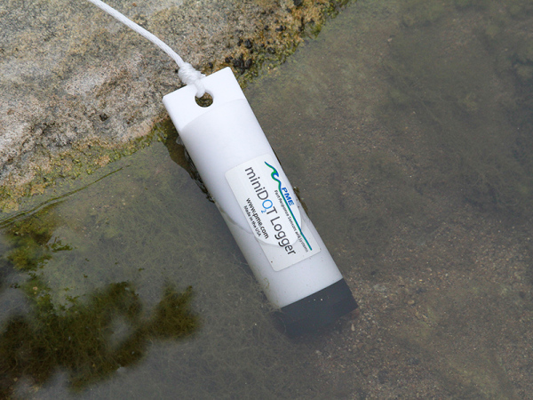 pme miniDOT® Logger measuring water quality parameters