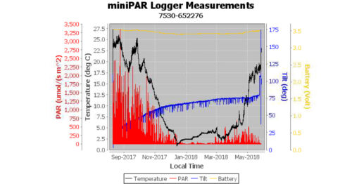 Graph displaying miniPAR  Logger measurement data 