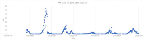 Graph displaying the daily variability patterns of PAR data