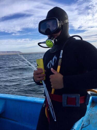 Researcher photographed in scuba gear in the central Baja California region of Mexico