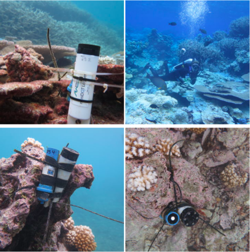 Images captured of miniDOT in use in the ocean