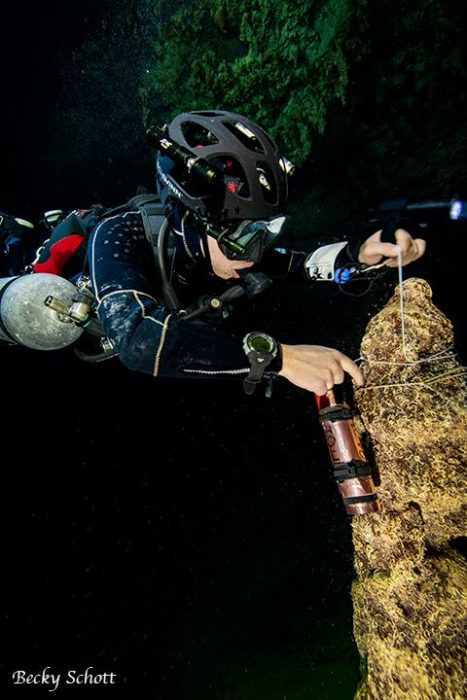 Diver in Marine Caves in Belize